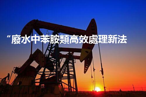 “廢水中苯胺類高效處理新法，環(huán)保先鋒引領綠色以后”